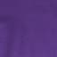 Women's Microgrid Fleece Zip Neck Top Aurora Purple