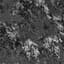 Men's Canyon Fleece Grey Canopy Print
