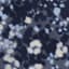 Women's Canyon Fleece Blue Oasis Print